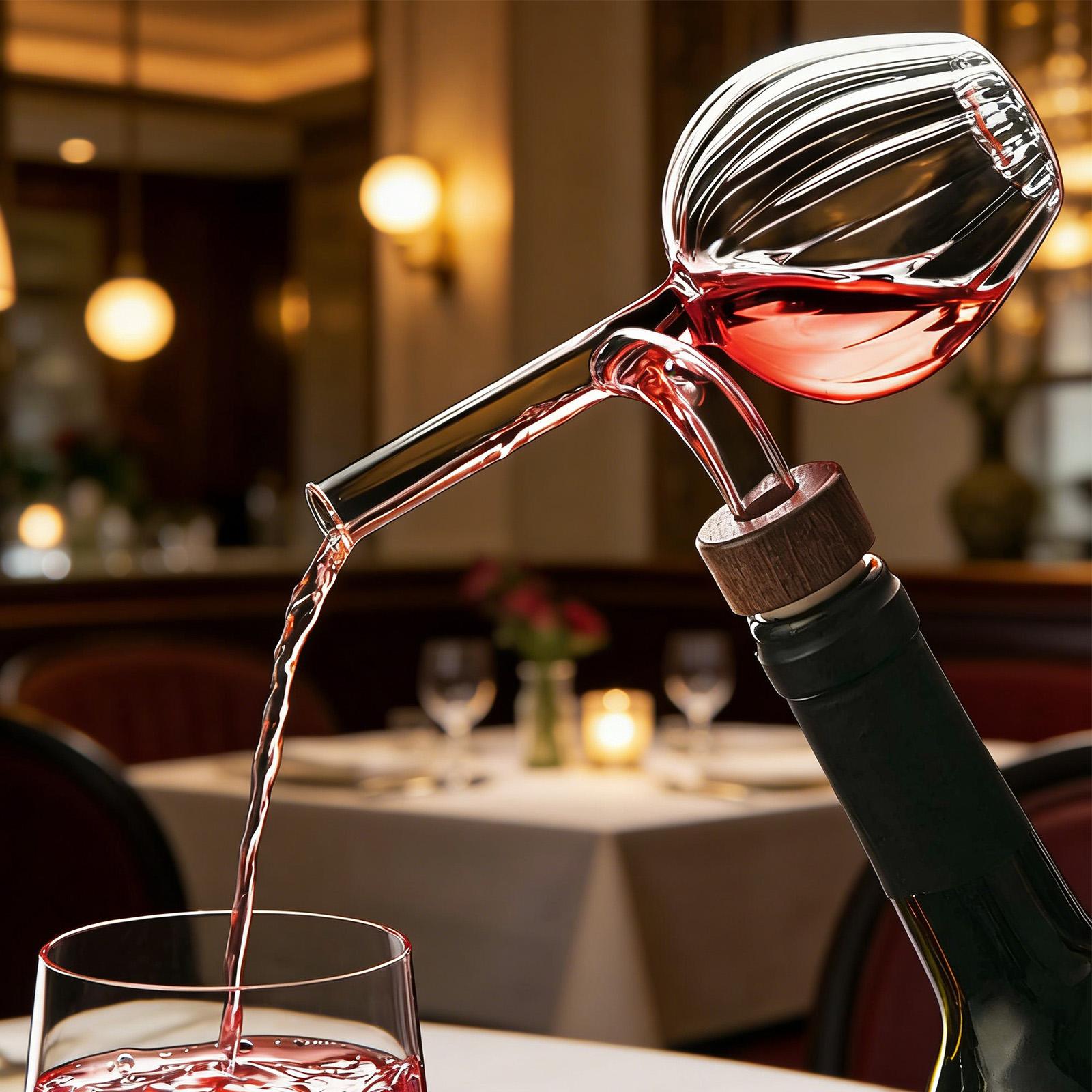 Carafe à vin moderne transpare - Wine Aerator Pour avis et prix